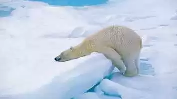 Croisières Arctique