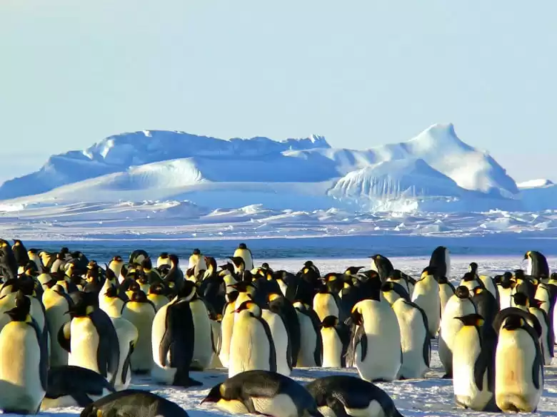 Antarctique