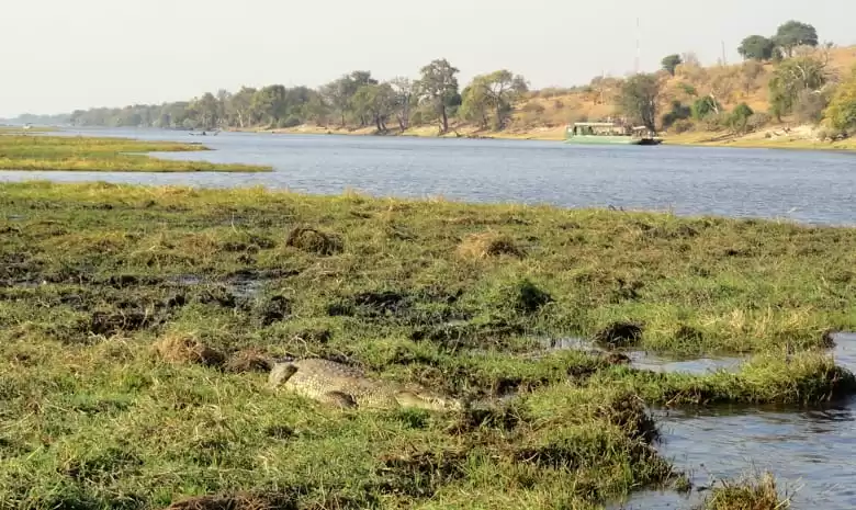 Chobe National Park