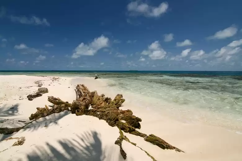 Harvest Caye