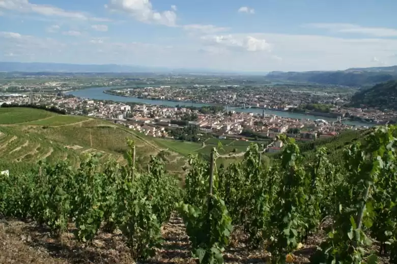 Tain L hermitage