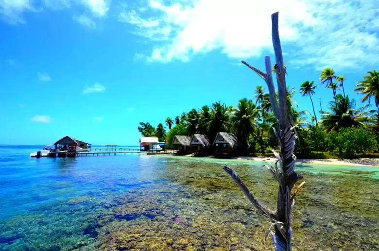 Tami Island